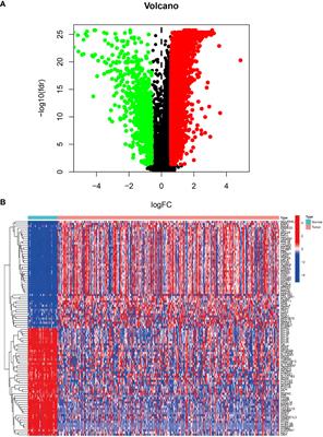 A prognostic model based on DNA methylation-related gene expression for predicting overall survival in hepatocellular carcinoma